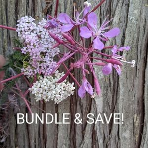 I love to bundle & give discounts!